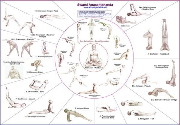 84 classic yoga asanas pdf 23